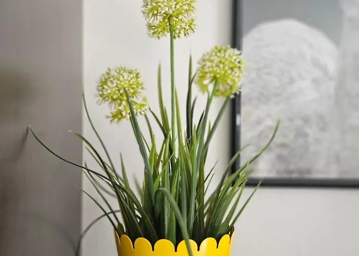 Vacation With Garden Апартаменты Повляна