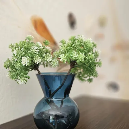 Vacation With Garden 公寓 波弗加纳